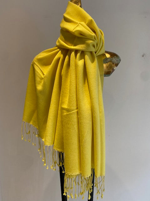 Classic Pashmina Shawl - 30% Off