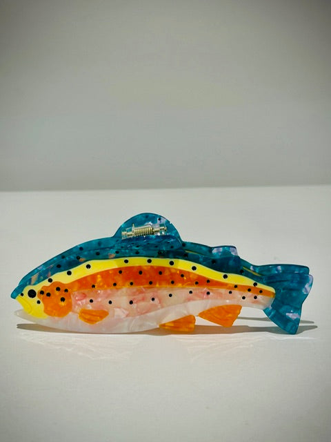 Colourful fun hairlip