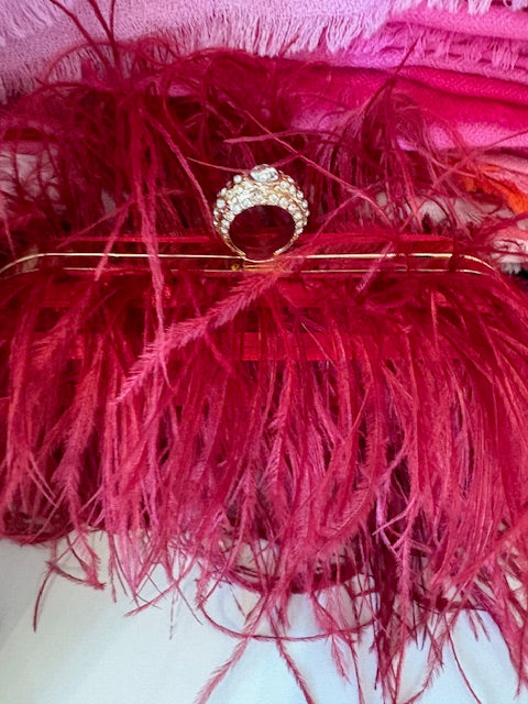 Feather Clutch
