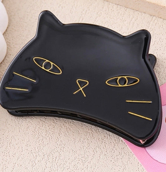 Black cat hairlip