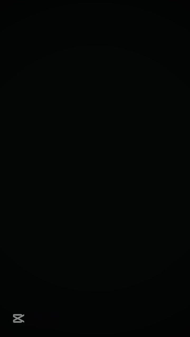 Floral scarf collection - sophisticated botanical designs
