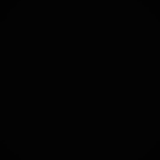 Kashmiri shawl full display - luxury hand embroidered heritage accessory